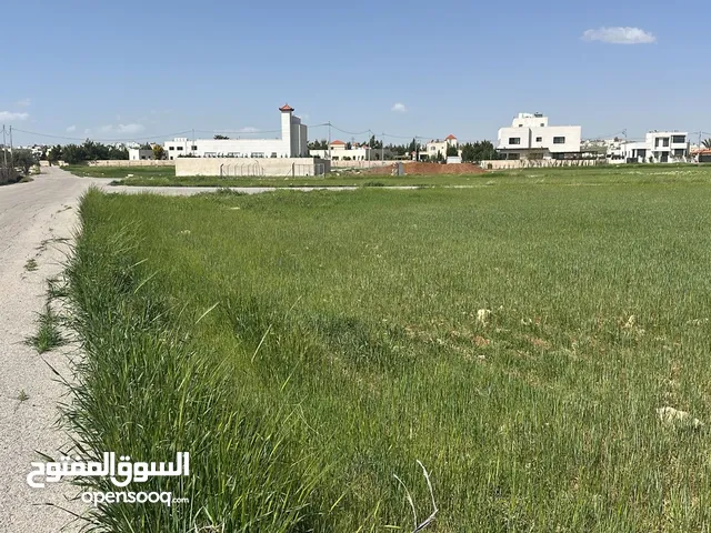 Residential Land for Sale in Amman Airport Road - Madaba Bridge