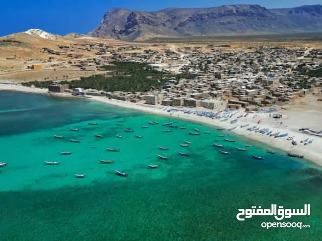 للبيع ارض في جزيرة سقطرى على الخط الساحلي 70×70