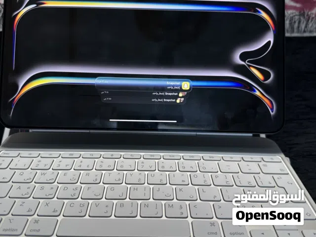 Apple iPad 256 GB in Al Hofuf