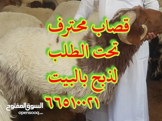 قصاب جزار متنقل تحت الطلب