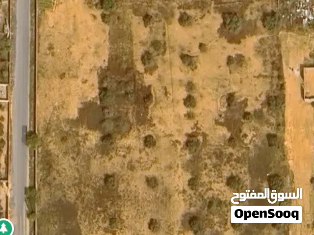 حوازه في طريق المطار بعد كوبري الفروسية