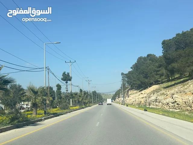 2 دونم كوشان مستقل طريق اربد عمان الرئيسي  تصح مزرعه كافه الخدمات من المالك مباشره اسكان المهندسين