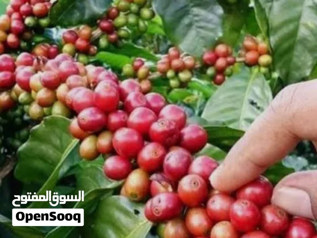 شريك ممول لشركه تخدم المزارع