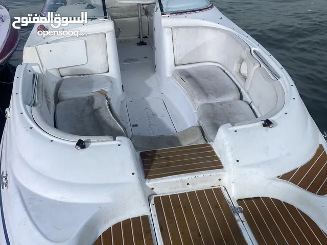 زورق سي راي سان دوك امريكي يحمل 12 شخص