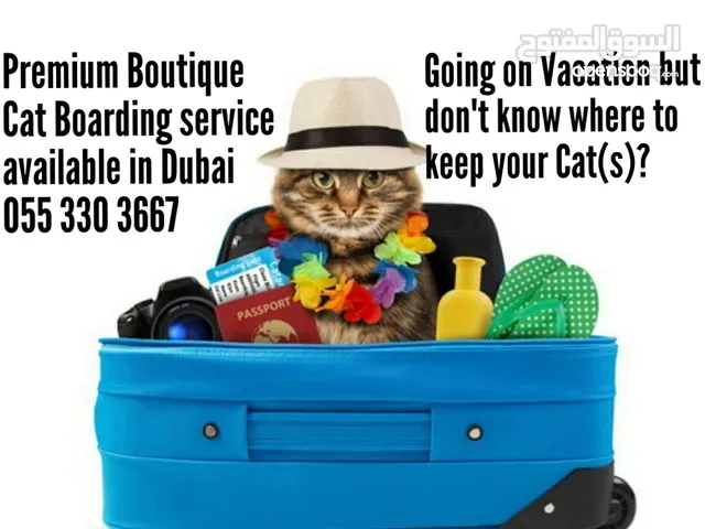PREMIUM BOUTIQUE CAT BOARDING IN DUBAI