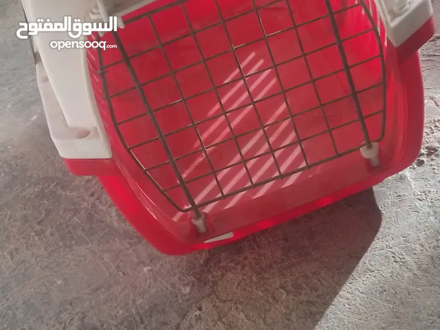 بيت قط للبيع. 15