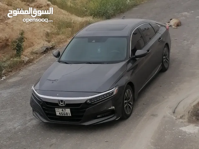 Used Honda Accord in Amman