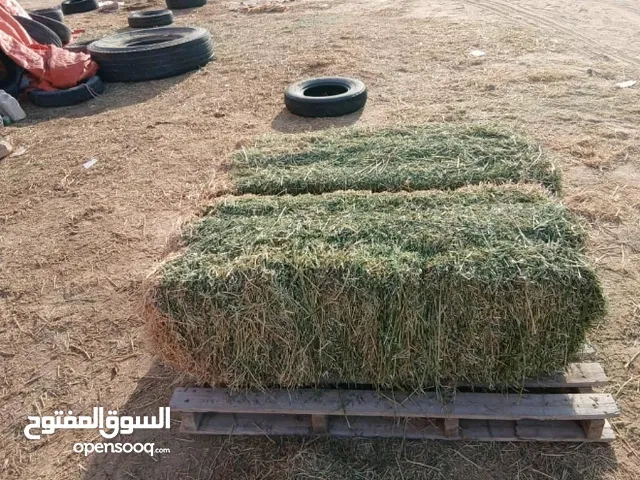 موجود 500 بالة صفصفة انتاج سمنو مكان زليتن