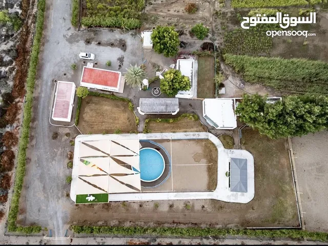 استثمار شالية مطل ع البحر من المالك