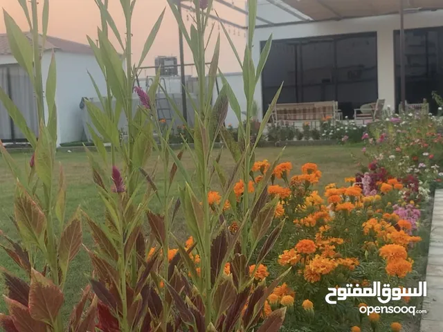 2 Bedrooms Chalet for Rent in Al Batinah Sohar