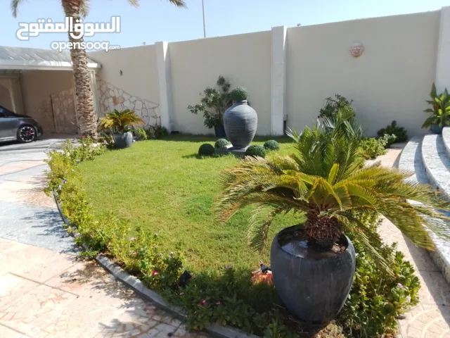 Al Baloshi professional Gardning services. we are always Glad to work on every aspect of Gardning.