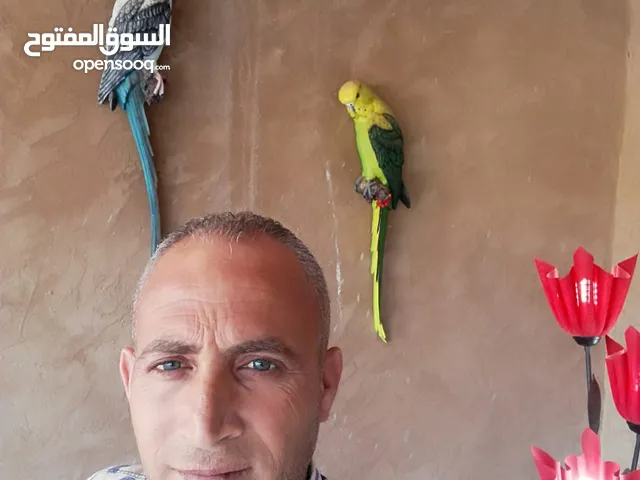 Emad Atmeh