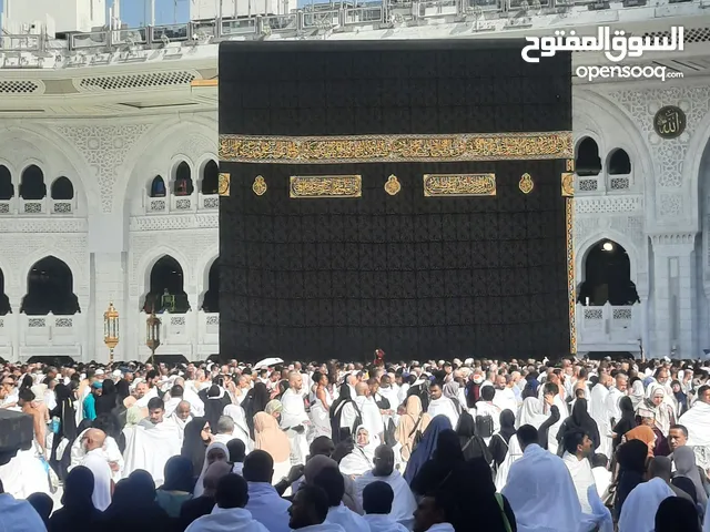 محفظة قرآن بالتجويد للنساء والأطفال اونلاين بطريقة التكرار