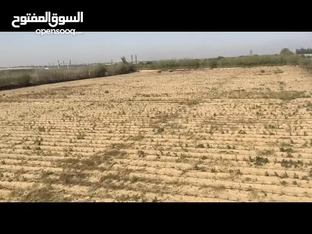 Farm Land for Rent in Abu Dhabi Other