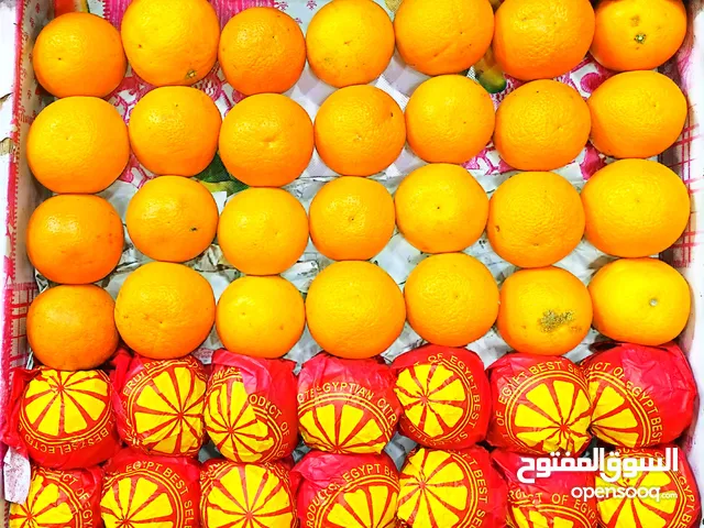 برتقال بلدى
