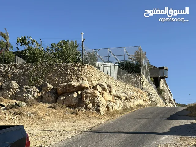 قطعة ارض للبيع تل الرمان خيل وليل
