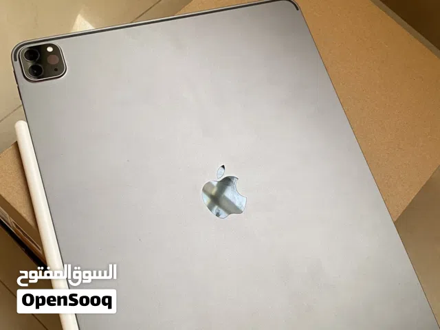 Apple iPad Pro 13 256 GB in Muscat