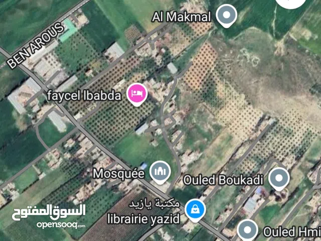 Farm Land for Sale in Tunis Other