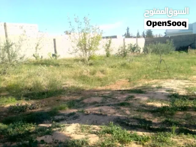 Farm Land for Sale in Tripoli Ain Zara