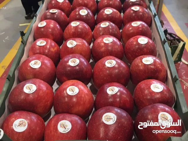 فواكة طازج و المجفف