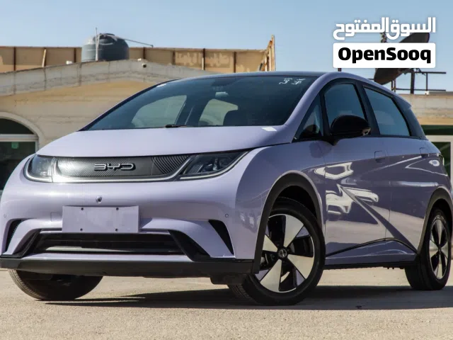 2023, بي واي دي, دولفين