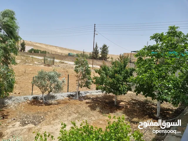 2 Bedrooms Farms for Sale in Mafraq Rhab