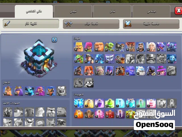 Accounts and Characters for Sale in Al Riyadh