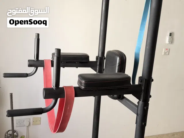 Pull ups and dip machine