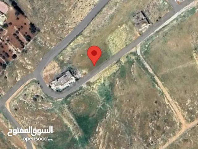 Residential Land for Sale in Amman Zinat Al-Rubue