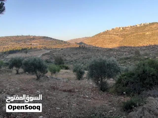 ارض للبيع بسعر مميز عالكاش