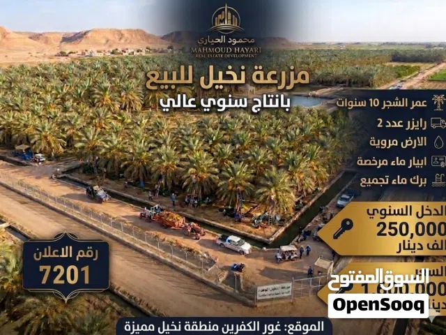 Farm Land for Sale in Jordan Valley Ghor Al Kafrain
