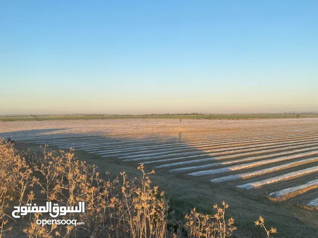 Farm Land for Sale in Kénitra Sidi Taibi