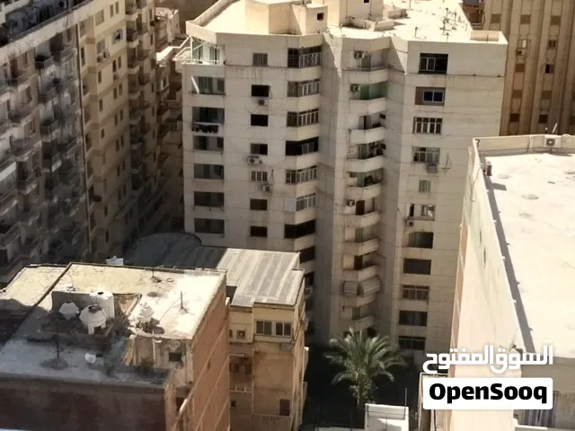 جوهرة العصافرة  شارع احمد تيسير