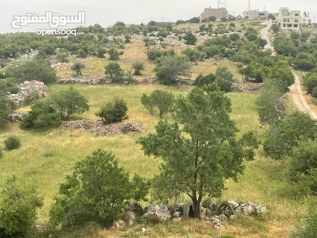 Mixed Use Land for Sale in Ajloun A'fna