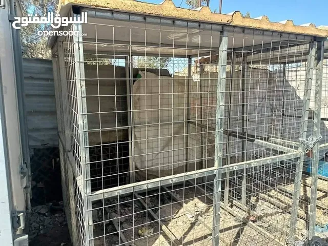 قفص حديد مغلون سقف سندويج بنل 2x2