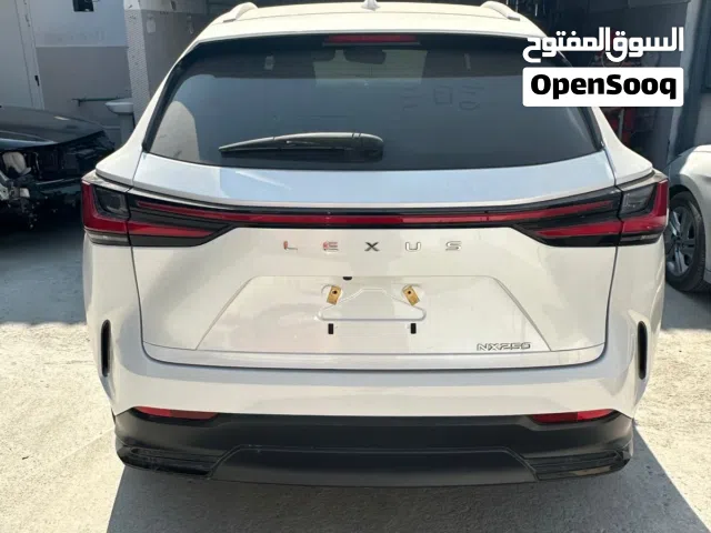 لكزس NX 250 Lexus 2023