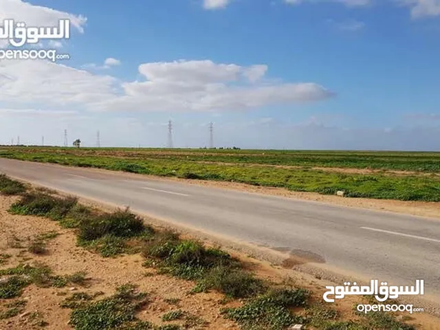 Mixed Use Land for Sale in Benghazi Qaminis