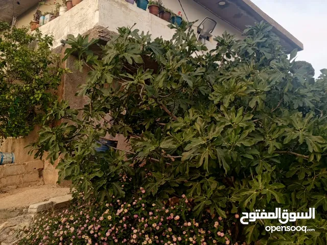150 m2 5 Bedrooms Townhouse for Sale in Ajloun Downtown