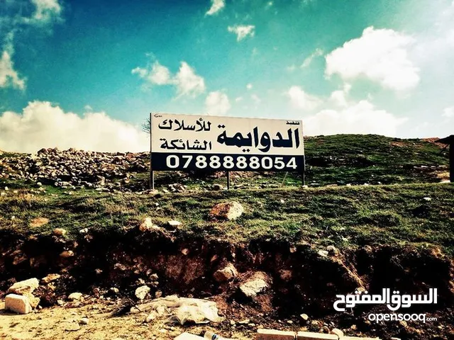 للتشييك المزارع وملاعب