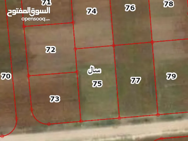 Residential Land for Sale in Irbid Sal