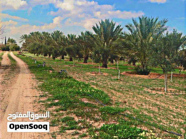 مزرعه للبيع