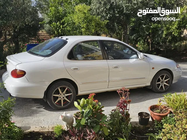 Used Hyundai Avante in Irbid