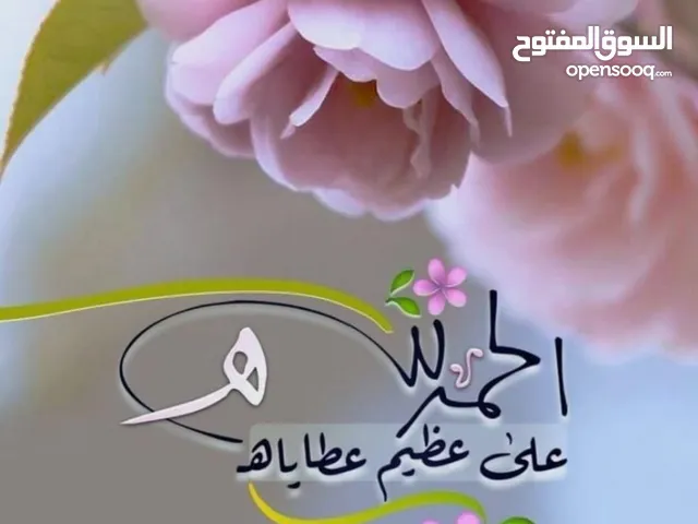 حبش للبيع مع فراخ