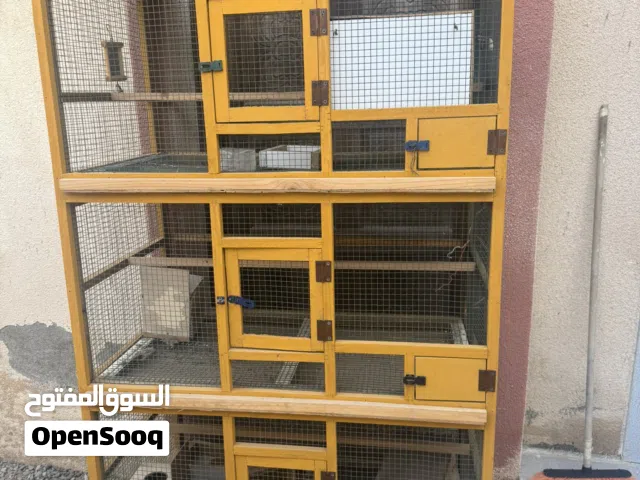 قفص لطيور للبيع