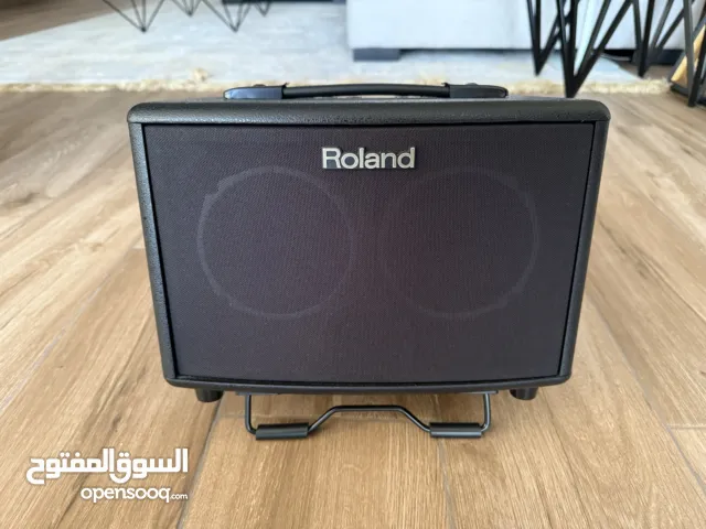 Roland Acoustic guitar amp AC33