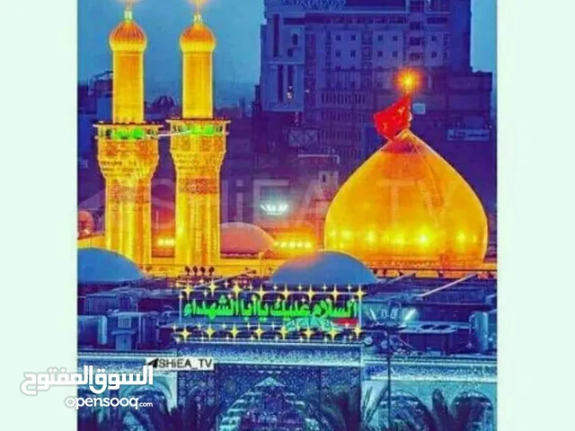 غرك زمانك