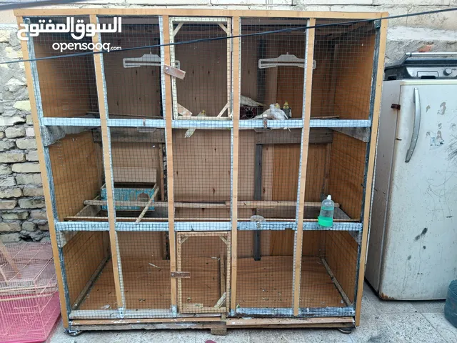 قفص كبير للبيع يصلح لجميع الطيور الزينه اتصل بيه وبخدمتك بيه مجال بالسعر