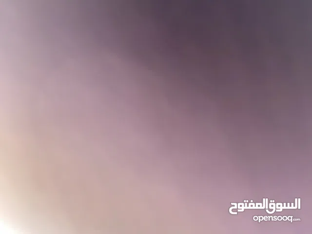 رامي جمال ابو صفية