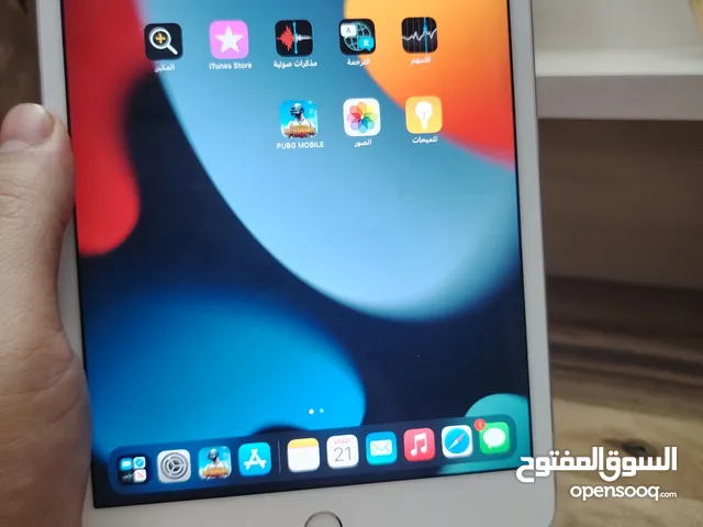 Apple iPad Mini 4 64 GB in Baghdad