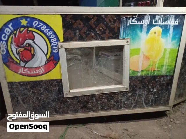 فقاست اوسكار للبيع